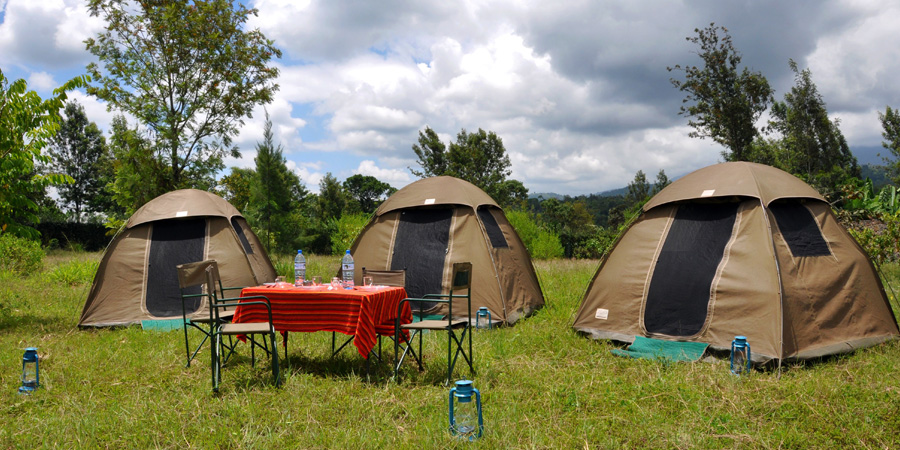 Green Global Safaris Team